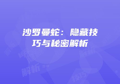 沙罗曼蛇：隐藏技巧与秘密解析