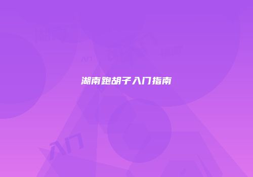 湖南跑胡子入门指南