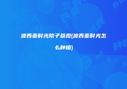 波西亚时光院子参观(波西亚时光怎么种植)