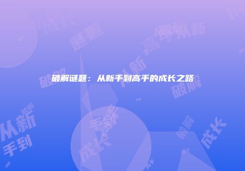 破解谜题：从新手到高手的成长之路