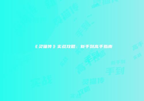 《灵猫传》实战攻略：新手到高手指南