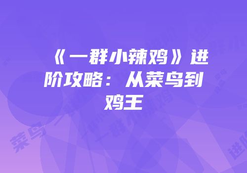 《一群小辣鸡》进阶攻略：从菜鸟到鸡王