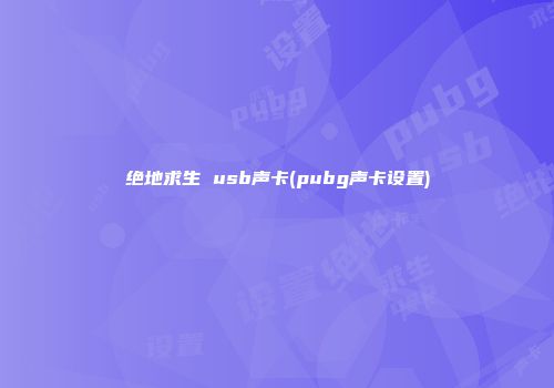 绝地求生 usb声卡(pubg声卡设置)
