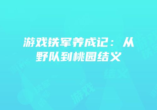 游戏铁军养成记：从野队到桃园结义
