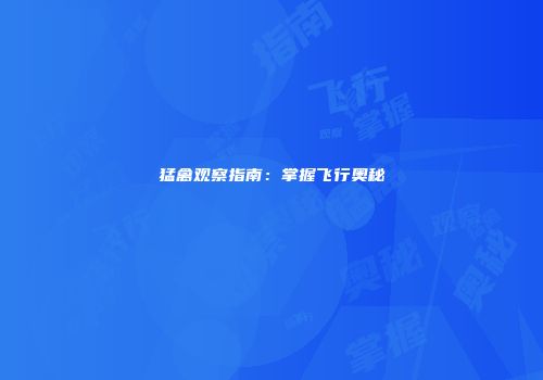 猛禽观察指南：掌握飞行奥秘