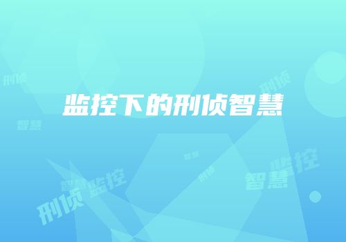 监控下的刑侦智慧