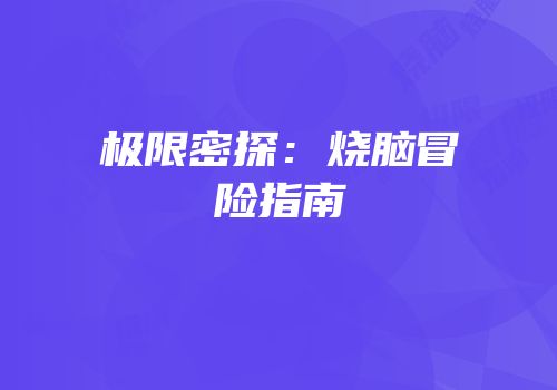 极限密探：烧脑冒险指南