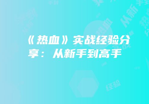 《热血》实战经验分享：从新手到高手