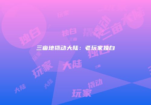 三亩地撬动大陆：老玩家独白