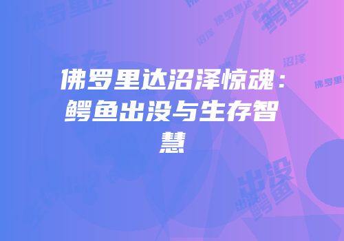 佛罗里达沼泽惊魂：鳄鱼出没与生存智慧