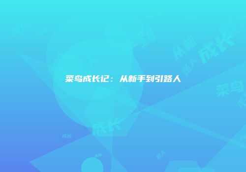 菜鸟成长记：从新手到引路人