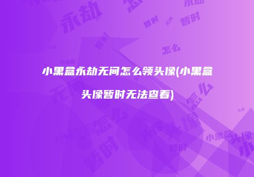 小黑盒永劫无间怎么领头像(小黑盒头像暂时无法查看)