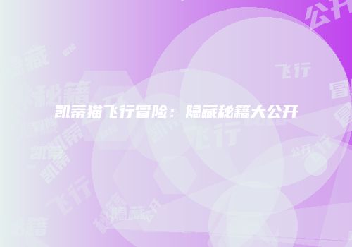 凯蒂猫飞行冒险：隐藏秘籍大公开