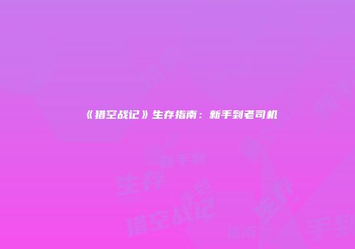 《猎空战记》生存指南：新手到老司机