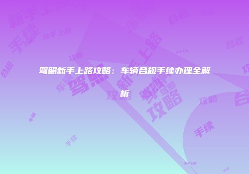 驾照新手上路攻略：车辆合规手续办理全解析