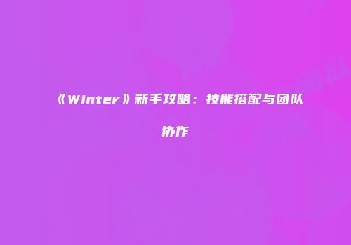 《Winter》新手攻略：技能搭配与团队协作