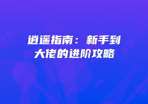 逍遥指南：新手到大佬的进阶攻略