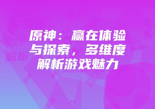 原神：赢在体验与探索，多维度解析游戏魅力