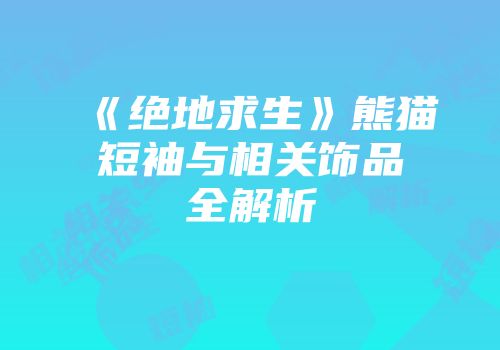 《绝地求生》熊猫短袖与相关饰品全解析