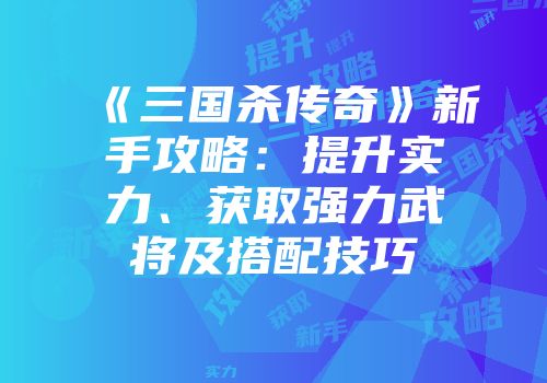 《三国杀传奇》新手攻略：提升实力、获取强力武将及搭配技巧