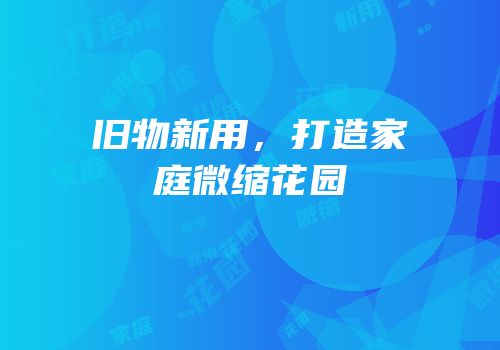 旧物新用，打造家庭微缩花园