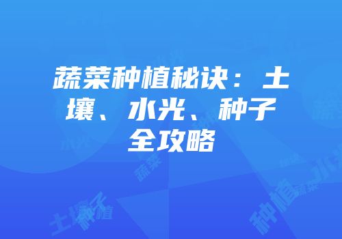 蔬菜种植秘诀：土壤、水光、种子全攻略