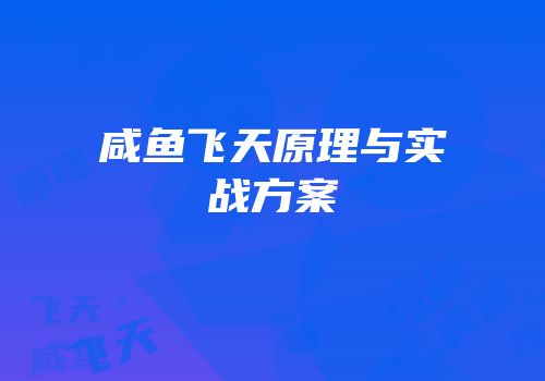 咸鱼飞天原理与实战方案