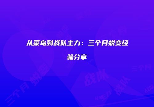 从菜鸟到战队主力：三个月蜕变经验分享