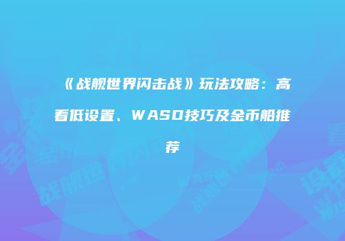 《战舰世界闪击战》玩法攻略：高看低设置、WASD技巧及金币船推荐