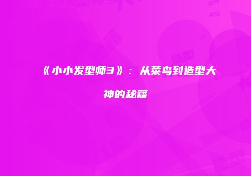 《小小发型师3》：从菜鸟到造型大神的秘籍