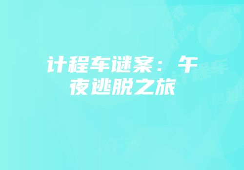 计程车谜案：午夜逃脱之旅