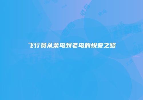飞行员从菜鸟到老鸟的蜕变之路