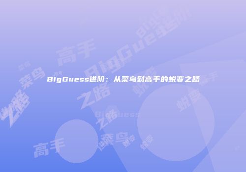 BigGuess进阶：从菜鸟到高手的蜕变之路