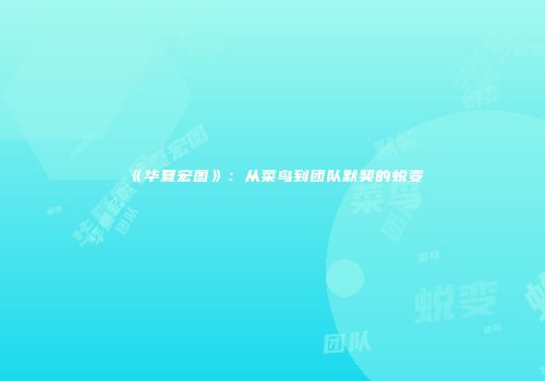 《华夏宏图》：从菜鸟到团队默契的蜕变