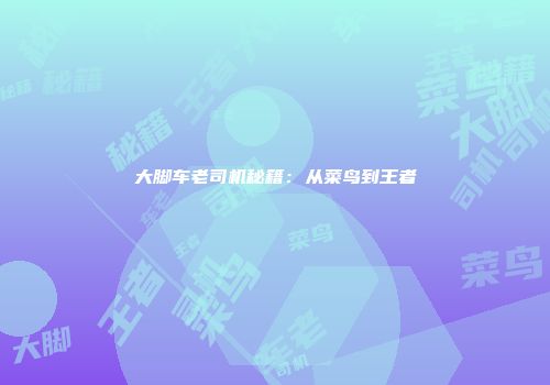 大脚车老司机秘籍：从菜鸟到王者