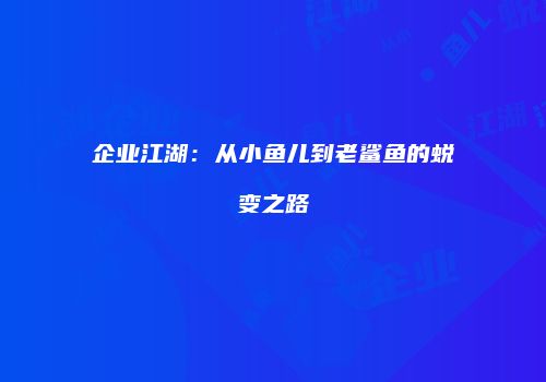 企业江湖：从小鱼儿到老鲨鱼的蜕变之路