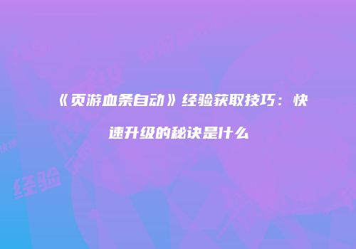 《页游血条自动》经验获取技巧：快速升级的秘诀是什么