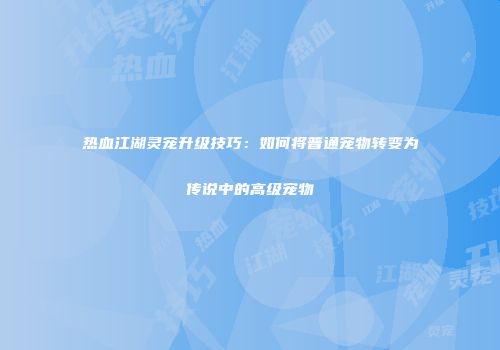 热血江湖灵宠升级技巧：如何将普通宠物转变为传说中的高级宠物