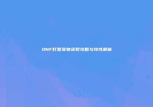 DNF灯笼宠物获取攻略与特性解析