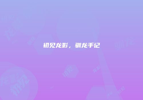 初见龙影，驯龙手记