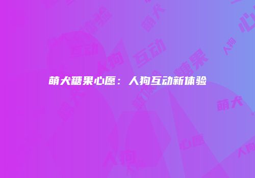 萌犬糖果心愿：人狗互动新体验