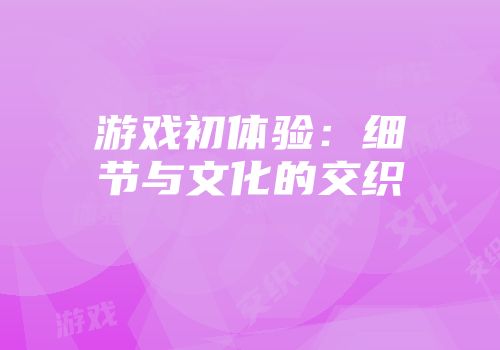 游戏初体验：细节与文化的交织