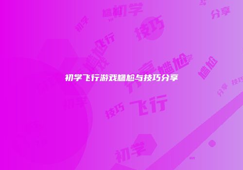 初学飞行游戏尴尬与技巧分享