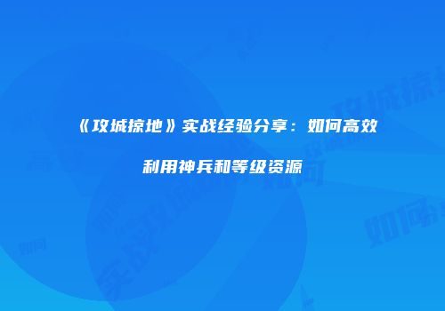 《攻城掠地》实战经验分享：如何高效利用神兵和等级资源