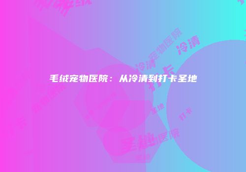 毛绒宠物医院：从冷清到打卡圣地
