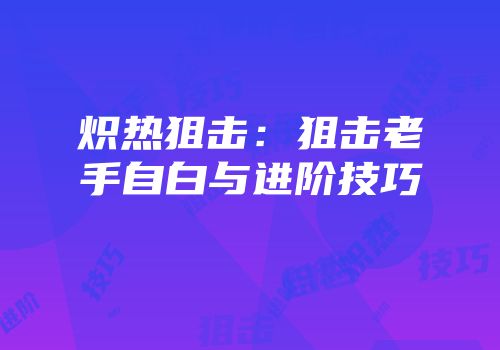 炽热狙击：狙击老手自白与进阶技巧
