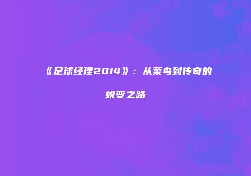 《足球经理2014》：从菜鸟到传奇的蜕变之路