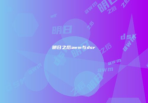 明日之后awm与dsr