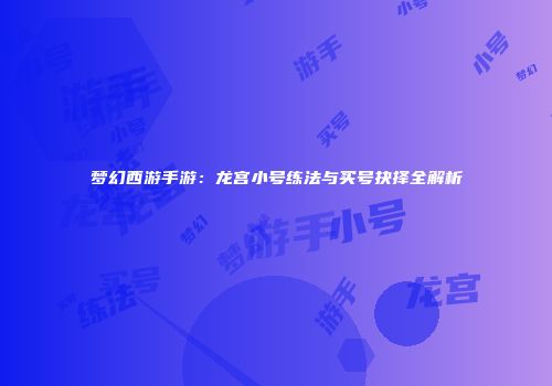 梦幻西游手游：龙宫小号练法与买号抉择全解析