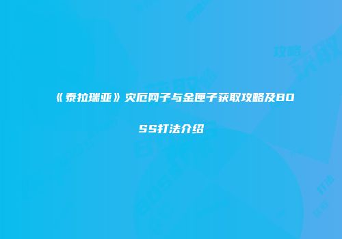 《泰拉瑞亚》灾厄网子与金匣子获取攻略及BOSS打法介绍